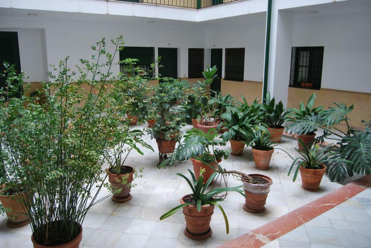 El Rincon De Aurora Apartment Seville Exterior photo